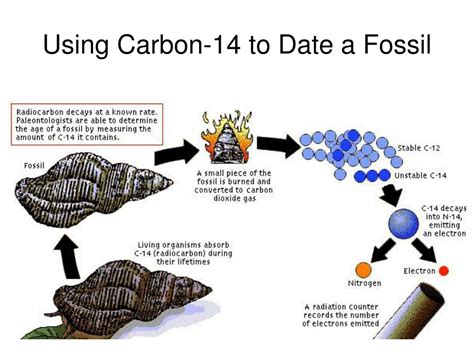 how can carbon dating be used to determine the age of a fossil